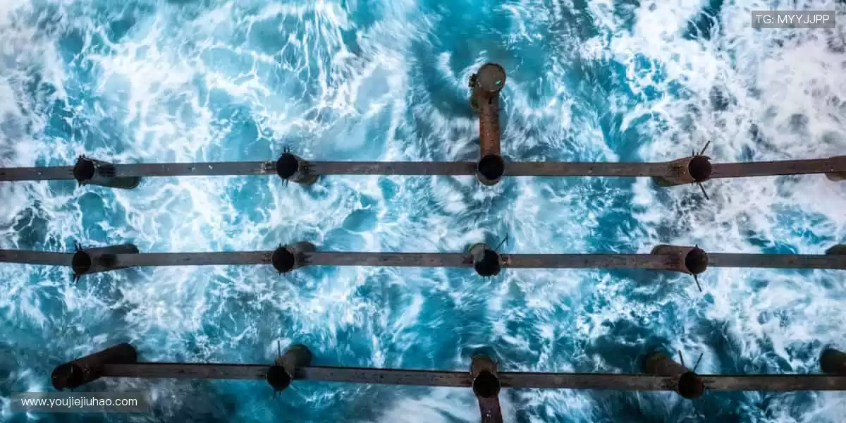 💻专业解说 + 实时互动,全球球迷同频狂欢!💥