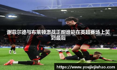 谢菲尔德与布莱顿激战正酣谁能在英超赛场上笑到最后
